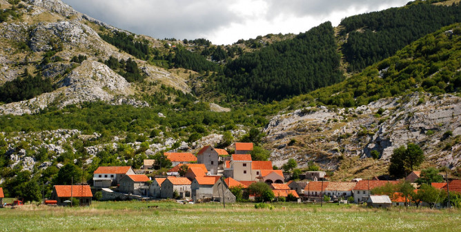 Деревня Негуши