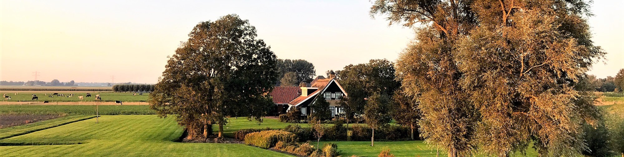 Нидерланды